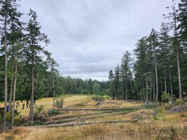 00 airstrip work 03.jpg