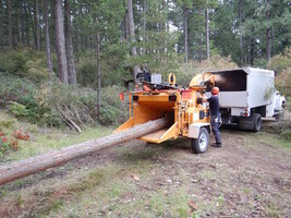 0 bandit log chipping.jpg