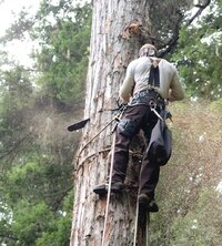 5VC6FoiuQ%mQLMADnc6vmw_thumb_41 copy.jpeg