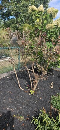 20240917_151728 (Medium).jpg