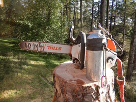 00 201 bucking 02.jpg