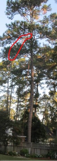 Screenshot 2024-10-29 134139.jpg