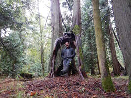 0 leggy stump 02.jpg