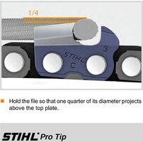 Stihl file height suggestion on tooth.jpeg