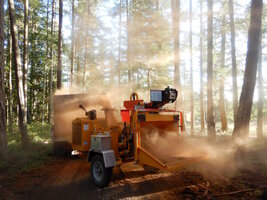 0000 todayish 02.jpg