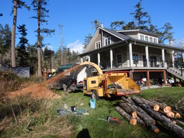 0 alder log chipping.jpg