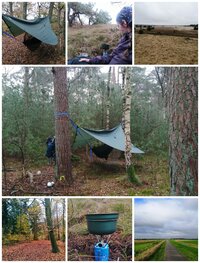 PSX_20241116_221828.jpg PSX_20241116_221828.jpg