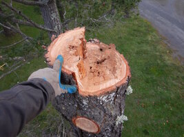 0 bucket work 05.jpg