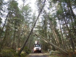 00 bucket leaners 01.jpg