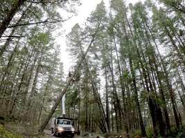 00 bucket leaners 03.jpg