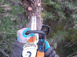 00 bucket leaners 04.jpg