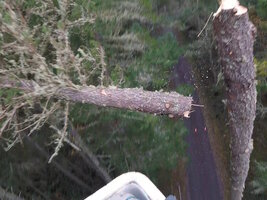 00 bucket leaners 06.jpg