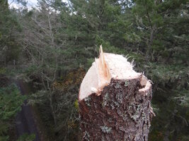 00 bucket leaners 07.jpg