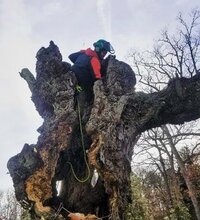 IMG_20180306_214545_937 Copy.jpeg