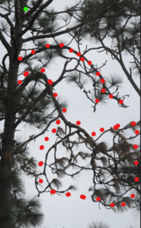 Screenshot 2024-12-23 222933.png