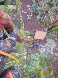 00 madrone carve 01.jpg