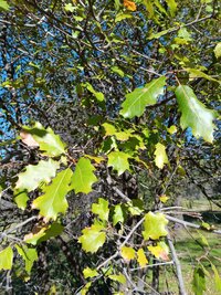 1000002630.jpg 1000002630.jpg