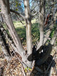 1000002631.jpg 1000002631.jpg