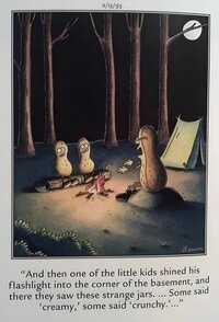 peanuts camping.jpg