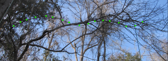 Screenshot 2025-02-01 181203.png