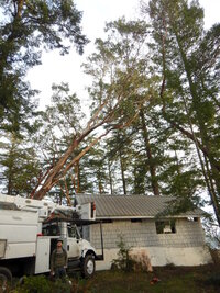 000 bucket madrone 01.jpg