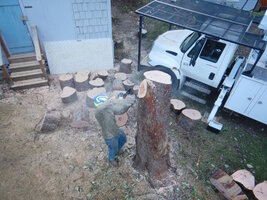 000 bucket madrone 06.jpg