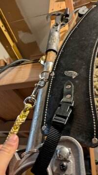 pole saw 1.jpg