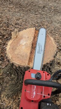 Milwaukee dual battery 2.jpg