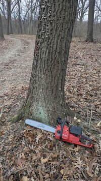 Milwaukee dual battery 3.jpg