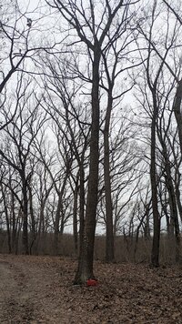 Milwaukee dual battery 4.jpg