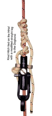 Modified Knut with a straigt leg to the Dogbone.jpg