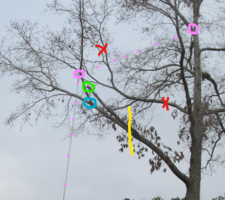 Screenshot 2025-02-16 124355.png