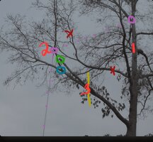 Screenshot_20250217_172213_Samsung Internet.jpg