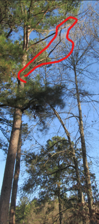 Screenshot 2025-02-26 124109.png