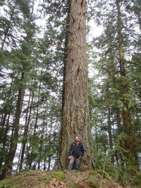 0 large small 01.jpg