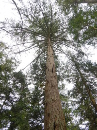 0 large small 02.jpg