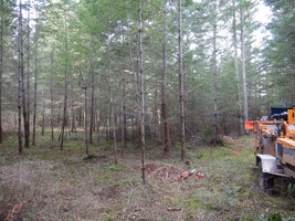 0 large small 03.jpg