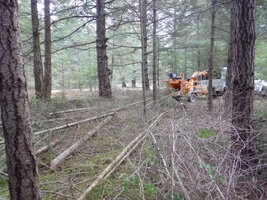 0 large small 04.jpg