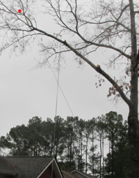 Screenshot 2025-03-08 021440.png