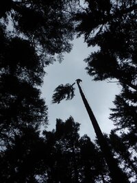 DSCN8252 (Custom).JPG