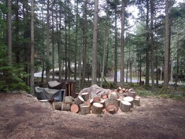 DSCN8268 (Custom).JPG