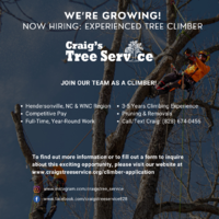 Craig's Tree Service Tree Climber Ad (1).png