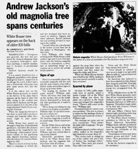 Andrew_Jackson_s_old_magnolia_tree_spans_centuries.jpg