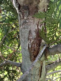 IMG_0765.jpeg