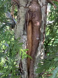 IMG_0766.jpeg