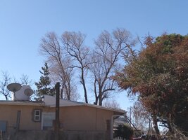 Removals (2025)3.jpg