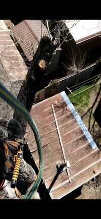 Removals (2025)4.jpg