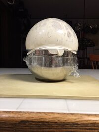 181127 A-Bread - IMG_0223.jpg