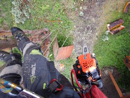 0 vmodest 2511 02.jpg