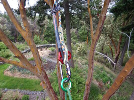 0 vmodest 2511 03.jpg